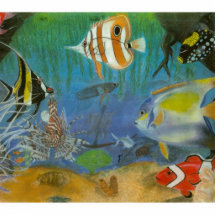 Magnet, Oceananic Acrylic Cut Outs