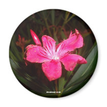 Magnet - Pink Flower by unclechuckstoys Magnet - Pink Flower