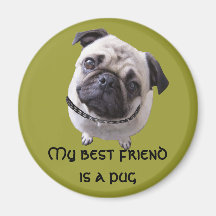 Magnet “pug "