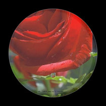 Magnet-Red Rose with water star magnets