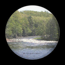 Magnet-Upper New York Trees and river magnets