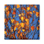 Magnet with autumn leaves Magnet with autumn leaves