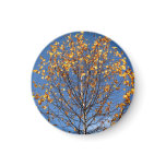Magnet with autumn leaves Magnet with autumn leaves