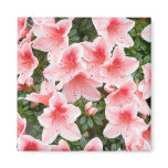 Magnet with Azalea Flower Blossoms