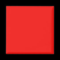 Magnet with  Bright Red Background magnets