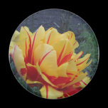 magnet with flower magnets
