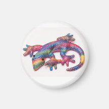 magnet with lizard rainbow