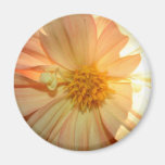 Magnet with photo of flower