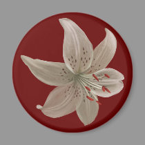 Magnet with white lilly magnets