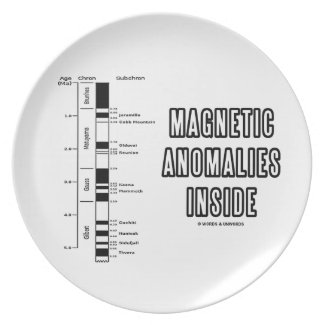 Magnetic Anomalies Inside (Geomagnetic Polarity) Plate