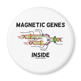 Magnetic Genes Inside (DNA Replication) magnet