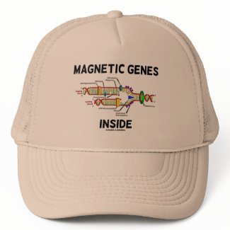 Magnetic Genes Inside (DNA Replication) hat