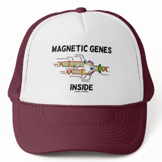 Magnetic Genes Inside (DNA Replication) hat