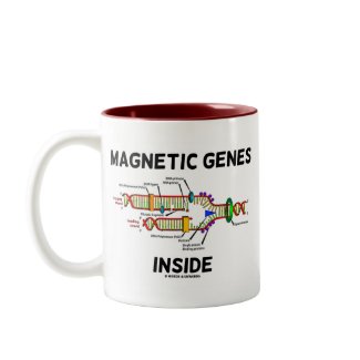 Magnetic Genes Inside (DNA Replication) mug
