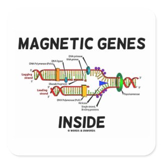 Magnetic Genes Inside (DNA Replication) sticker