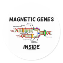 Magnetic Genes Inside (DNA Replication) Sticker