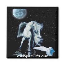 MAGNETIC MAGIC Pegasus & White Raven Collection