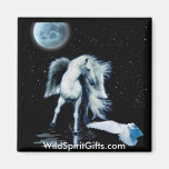 MAGNETIC MAGIC Pegasus & White Raven Collection