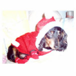 MAGNETS - CHRISTMAS PUPPY DASCHOUND  - CHRISTMAS photo sculptures