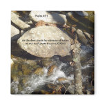 Magnets: Stream Psalm