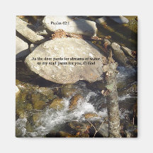 Magnets: Stream Psalm