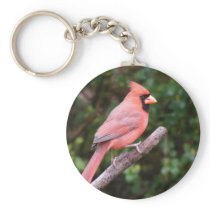 Magnificent Cardinal keychains