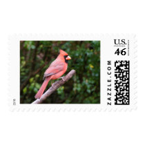 Magnificent Cardinal stamps