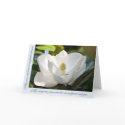 Magnificent Magnolia cards