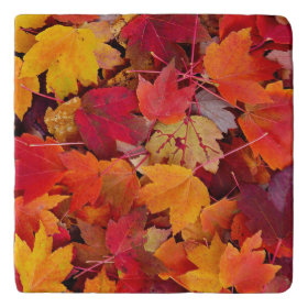 Magnificent Maple Leaves Trivets