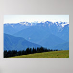 Magnificent Mountains In Olympia National Park Posters