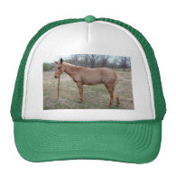 Magnificent Mule! Mesh Hat