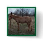 Magnificent Mule! Pin / Button