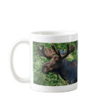Magnificient Moose mugs