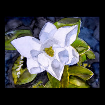 magnolia 2 posters