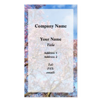 Magnolia Against the Sky business cards