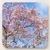 Magnolia Against the Sky cork coasters