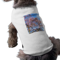 Magnolia Against the Sky pet clothing