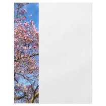 Magnolia Against the Sky flyers