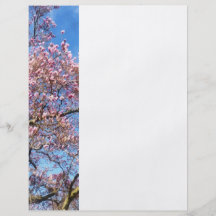 Magnolia Against the Sky Full Color Flyer