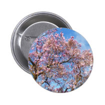 Magnolia Against the Sky buttons