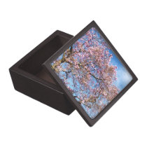 Magnolia Against the Sky premium gift boxes