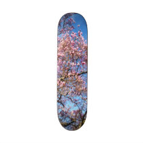 Magnolia Against the Sky skateboards