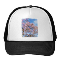 Magnolia Against the Sky hats