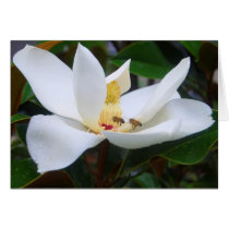 Magnolia and Honeybees Card