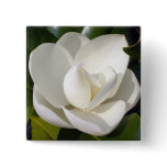 Magnolia Bloom buttons