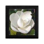 Magnolia Bloom Jewelry Box