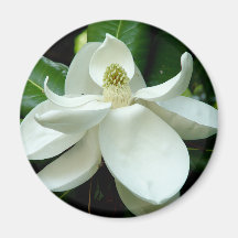 Magnolia Bloom Magnet