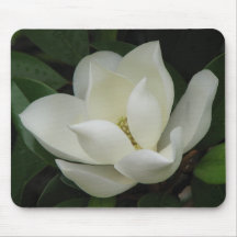 Magnolia Bloom Mouse Mats