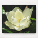 Magnolia Bloom mousepads by princessklb07 Magnolia Bloom mousepads