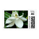 Magnolia Bloom Postage
